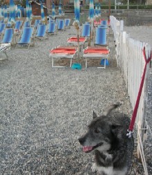 Liguria Pietra Ligure spiaggia per cani in vacanza al mare